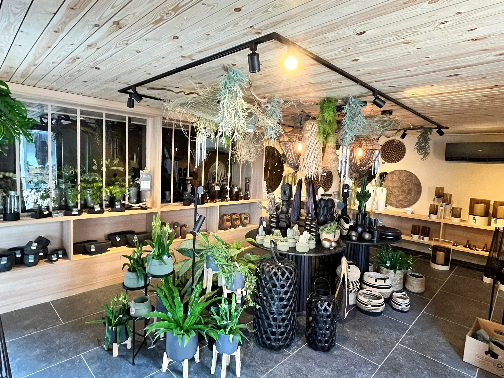 Le commerce terminé et garni : plafond en bois, rampes d’éclairage, présentoirs et plantes