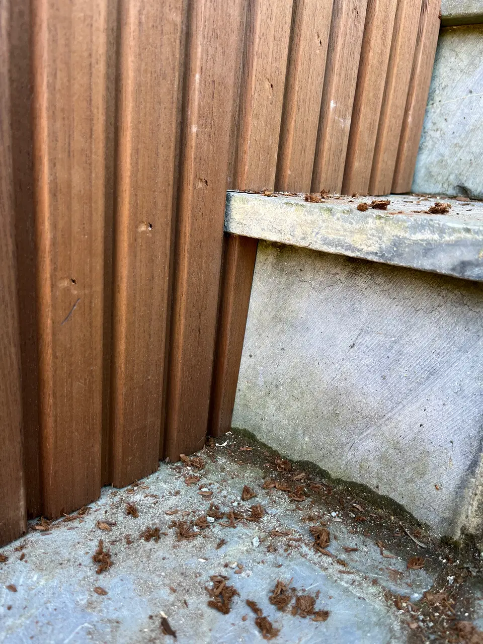 Un escalier extérieur habillé d’Ayous — au début du chantier