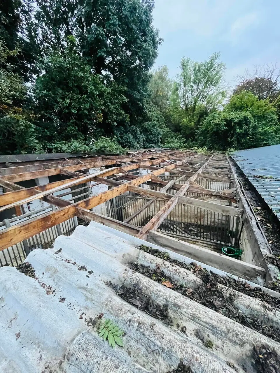 Rénovation de la charpente et de la toiture d’une écurie — pendant les travaux